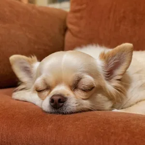 Diego — Galería 2