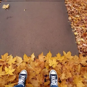 Arturo Á. — Galería 2