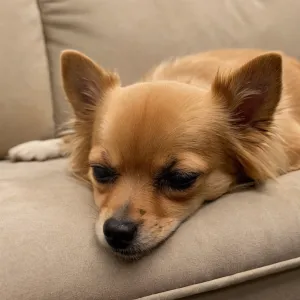 Montserrat G. — Galería 2