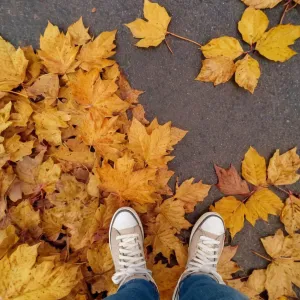 Toño — Galería 2