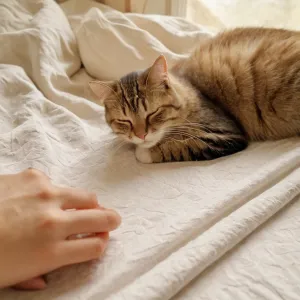 Alejandra — Galería 4