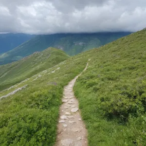 Dulce — Galería 4