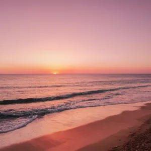 Vale Daily — Galería 3