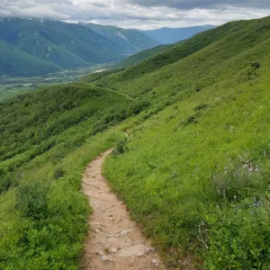 el.mili99 — Galería 3